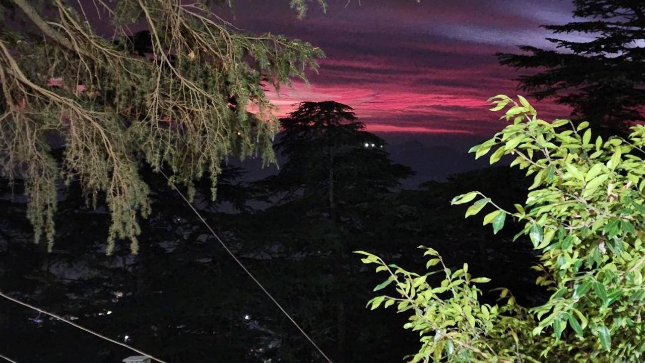 Glen View Heritage Homestay Shimla Exterior foto