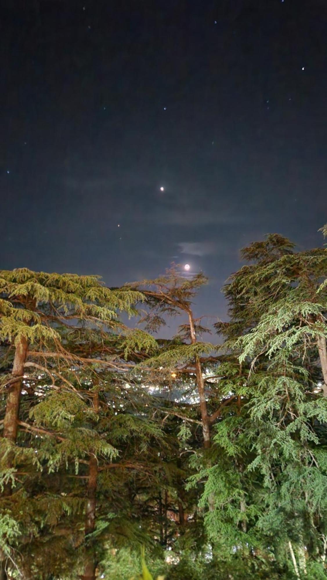 Glen View Heritage Homestay Shimla Exterior foto